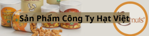 công ty hạt việt