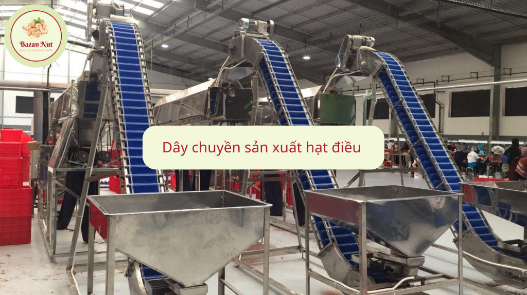 công ty chế biến hạt điều 