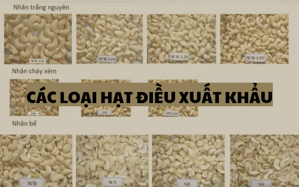 các loại hạt điều xuất khẩu