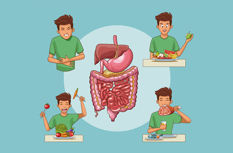 Vỏ lụa hạt điều - hỗ trợ tiêu hóa